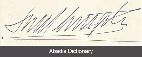 عکس روبرتو ام• لویینگستون