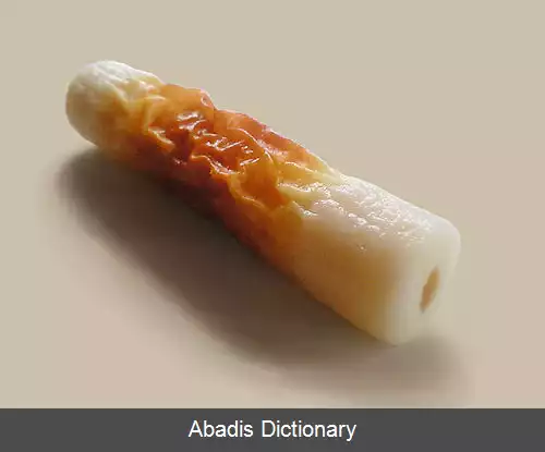 عکس چیکووا