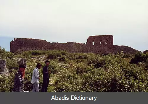 عکس سیلیون