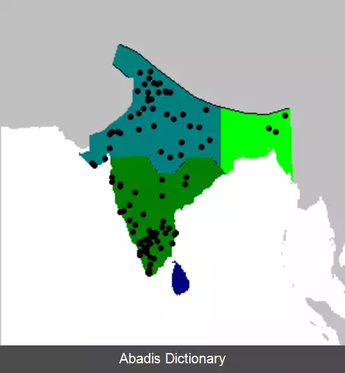 عکس سسکک خاکسترگون