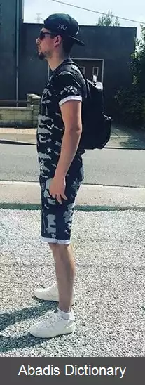 عکس استیو ریبری