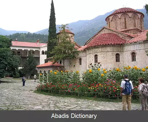 عکس ایوانه پتریسی