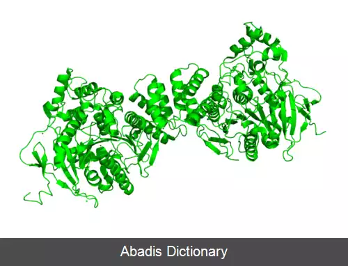 عکس نورولایگین