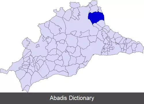 عکس ارچیدونا
