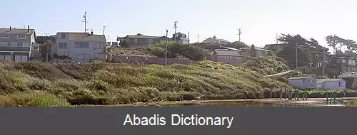 عکس سلمان کریک کالیفرنیا