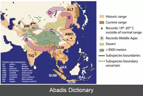 عکس فهرست بزرگترین گربه سانان