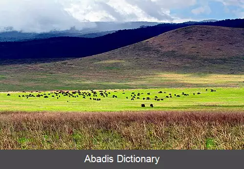 عکس فهرست میراث جهانی در تانزانیا