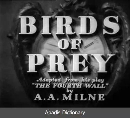 عکس پرنده های شکاری (فیلم ۱۹۳۰)