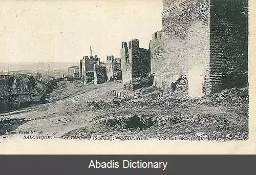 عکس دیوارهای سالونیک