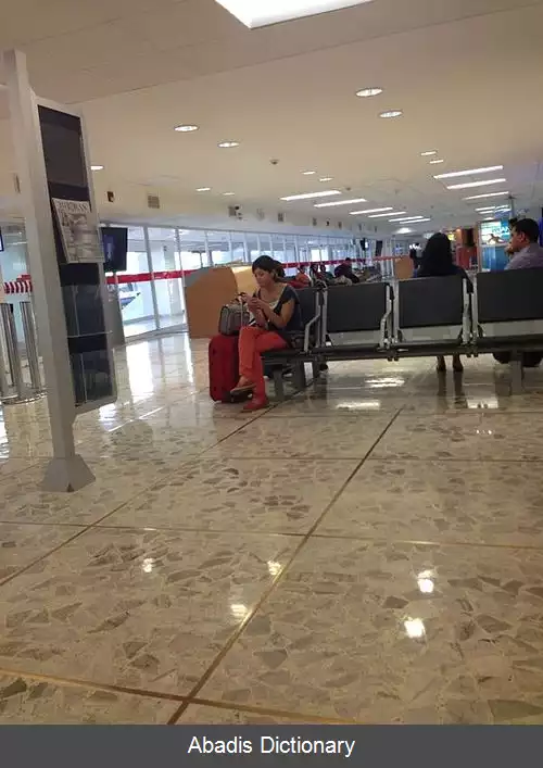 عکس فرودگاه بین المللی ژنرال خوان آلوارز