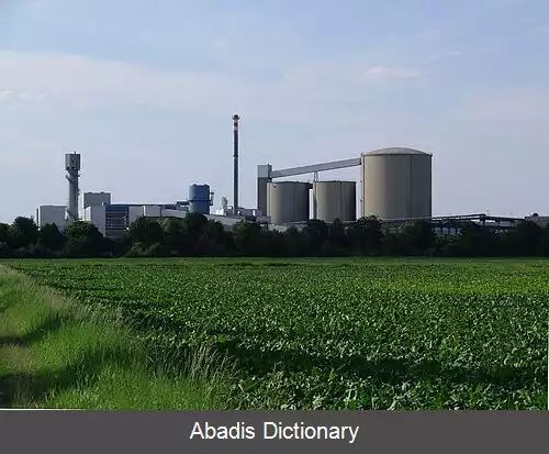 عکس زودسوکر