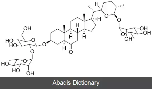 عکس اسلادین