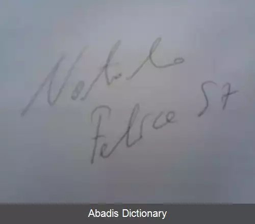 عکس فلیچه ناتالینو