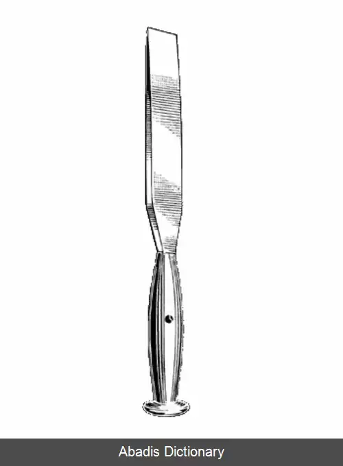 عکس استئوتوم