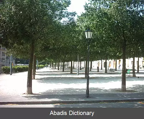 عکس دیواره سبز