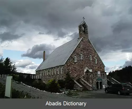 عکس رپید دانسور کبک