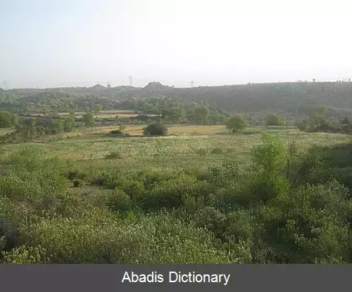 عکس دهاله
