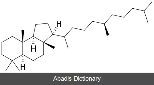 عکس مالاباریکان