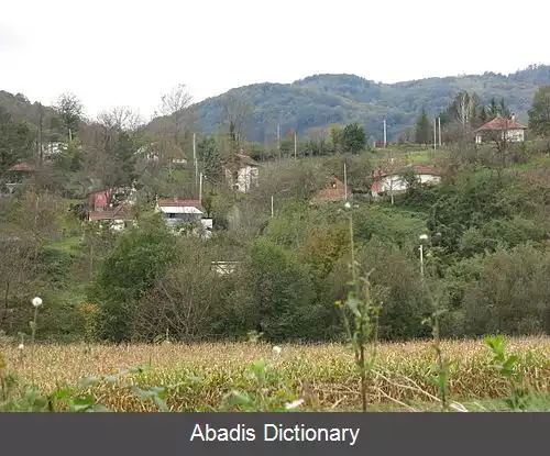 عکس دونگی بانگانی