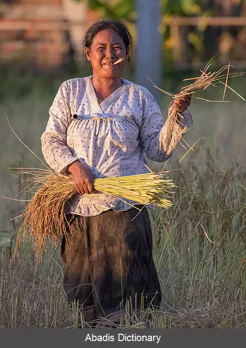 عکس زنان در لائوس