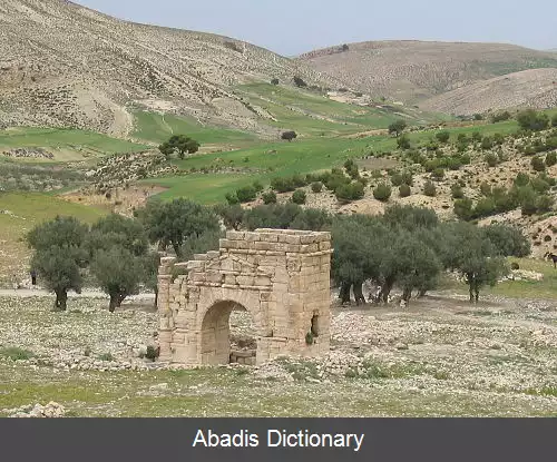 عکس دجبه