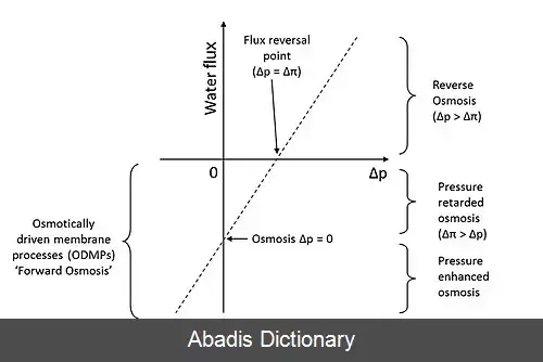 عکس اسمز مستقیم