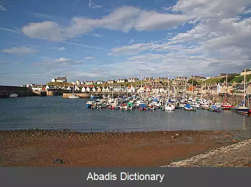 عکس فنداکتی