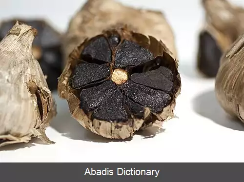 عکس سیر سیاه