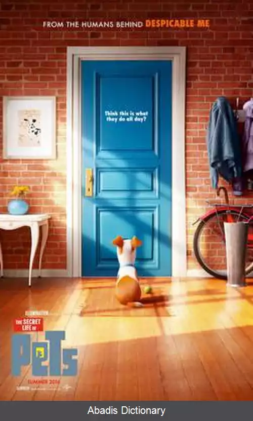 عکس زندگی پنهان جانوران خانگی