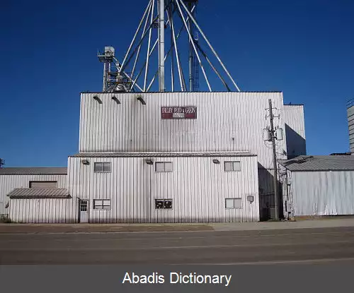 عکس دیلی تگزاس