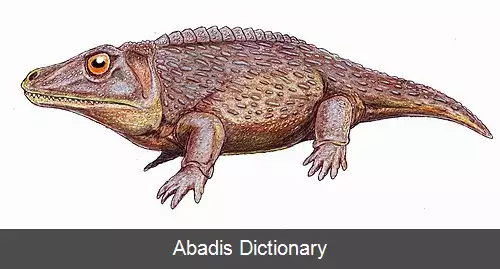 عکس زیگوسوروس