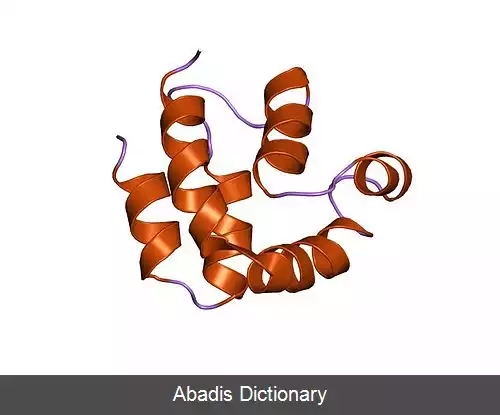 عکس دومین مجری مرگ