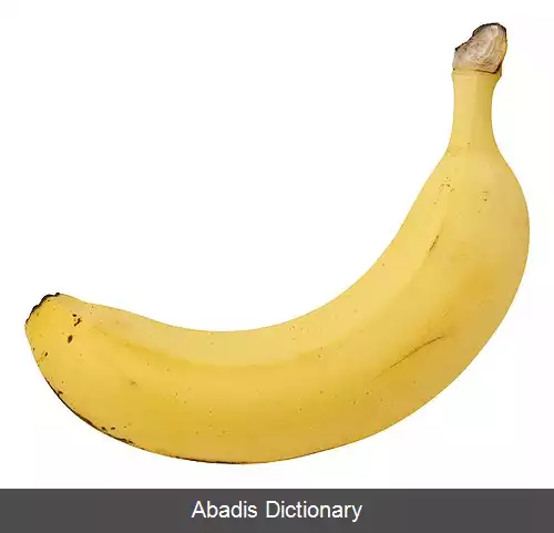 عکس دوز معادل موز