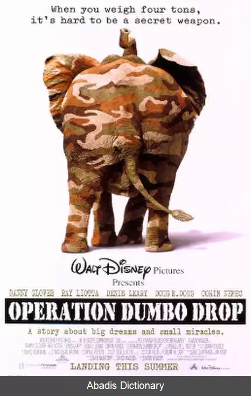 عکس عملیات نجات دامبو