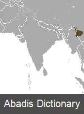 عکس حشره خوار دم کوتاه برمه