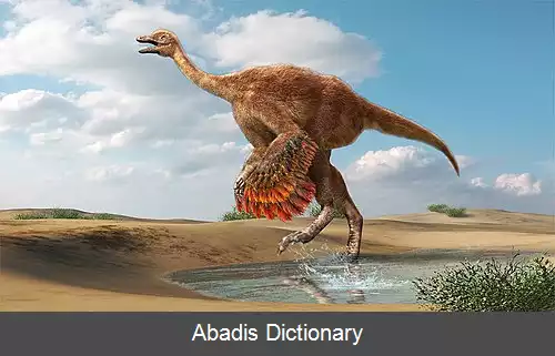 عکس ایپیورنیدومیموس
