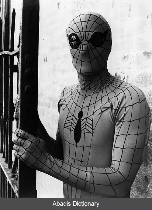 عکس مرد عنکبوتی در فیلم