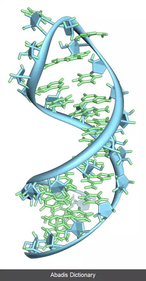عکس استخراج آران ای