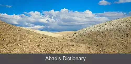 عکس استپ چویا