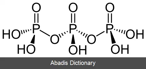 عکس پلی فسفات