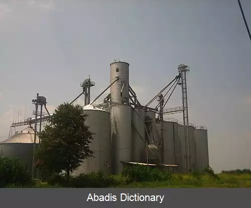 عکس نیولتون لوئیزیانا