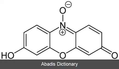 عکس رزازورین