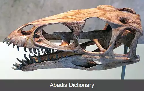 عکس بریووترا