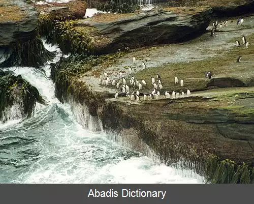 عکس فهرست جزایر فالکلند