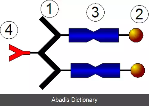 عکس ترکیبات پروتئین پلیمر