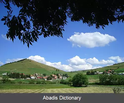 عکس کنژواتس (سینیتسا)