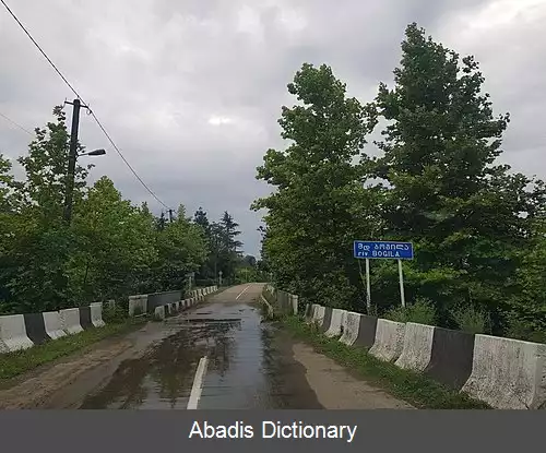 عکس بوگیلی