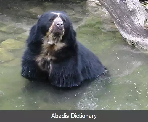 عکس استان رودیگز ده مندوزا