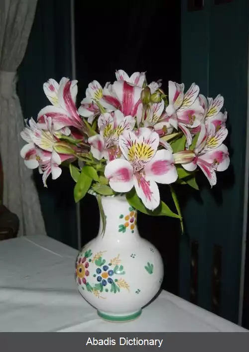 عکس سوسن پرویی