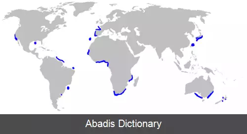 عکس دیوکوسه